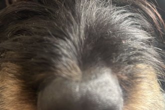 WhatsApp Image 2025-01-27 at 17.05.11.jpeg